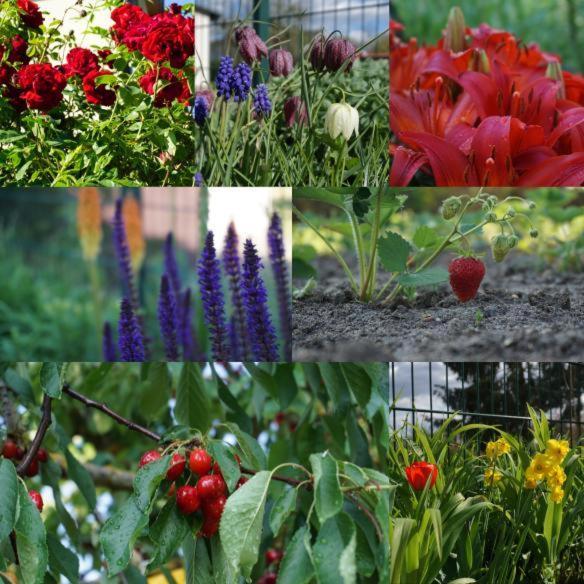 Gartenblick Trebbin Exterior foto